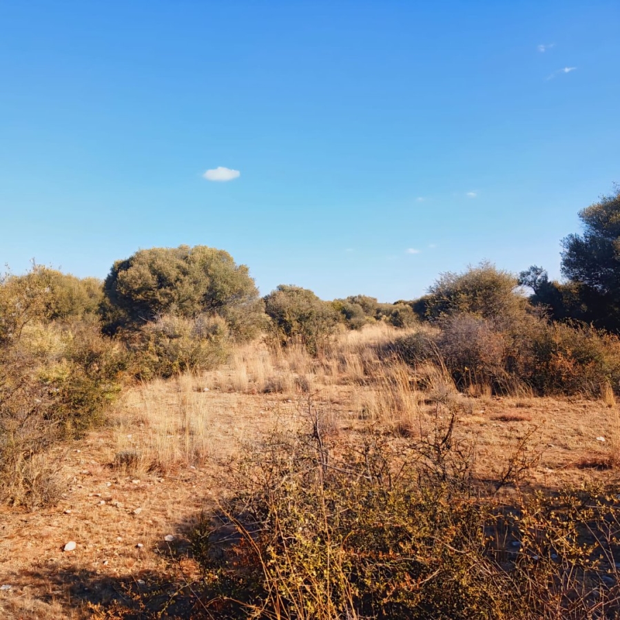 Commercial Property for Sale in Reivilo Northern Cape